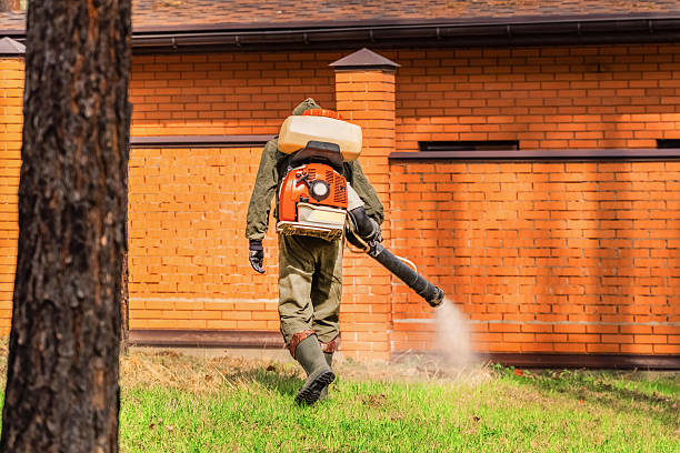Trusted Cockroach Control service in Edgewood, IN - Nex Pest Control